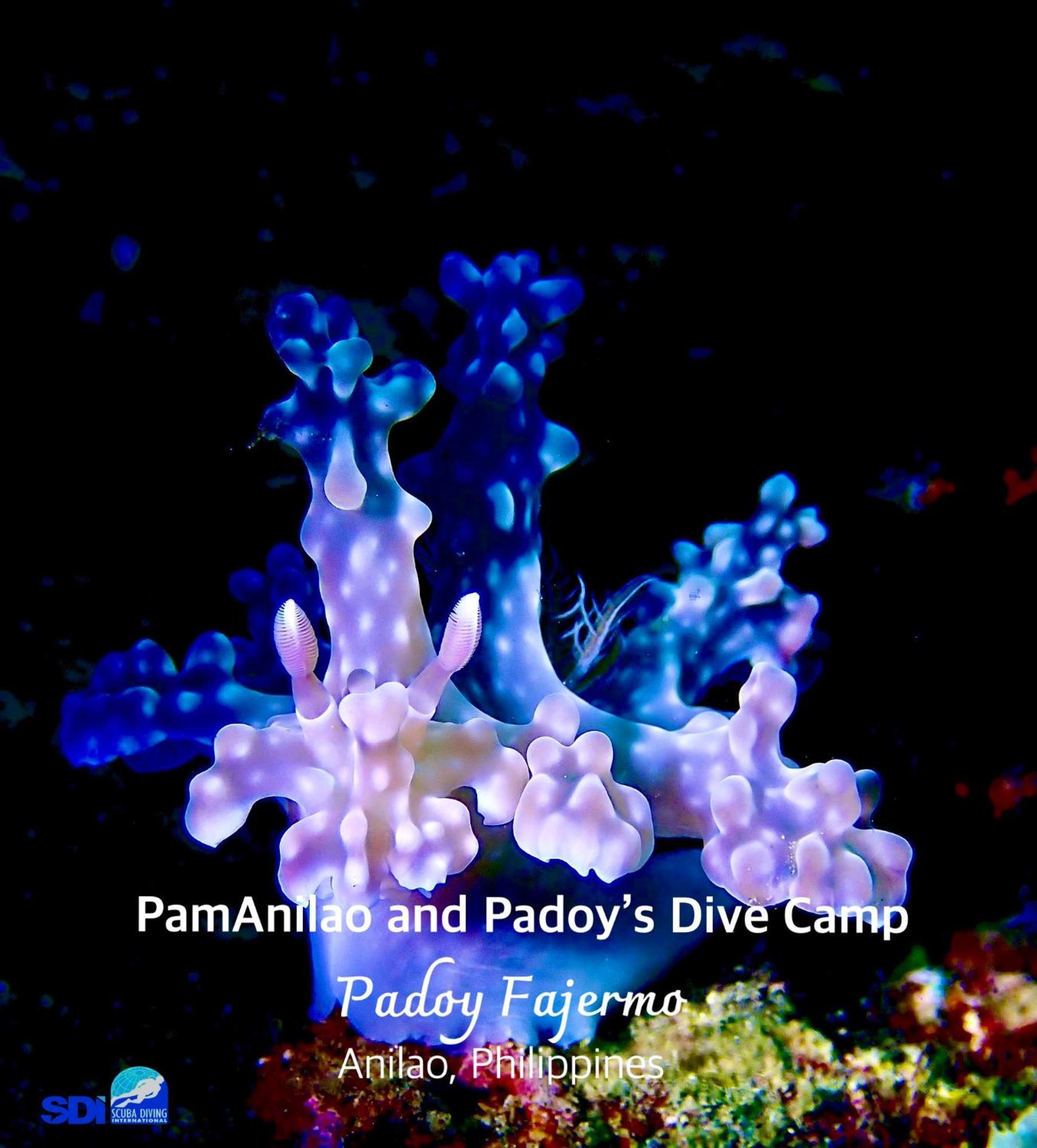 Hotel Pamanilao And Padoy'S Dive Camp Batangas Exterior foto