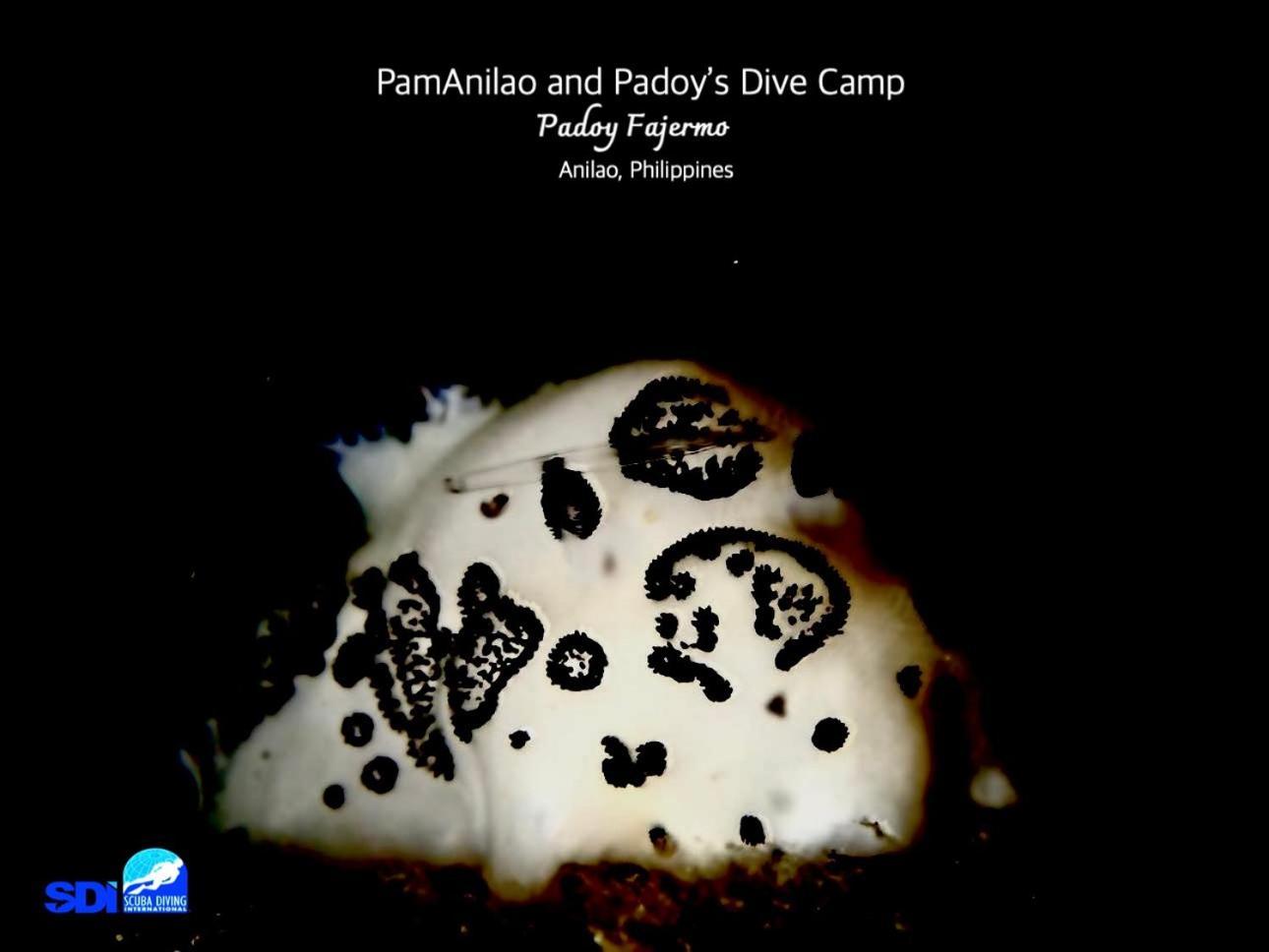 Hotel Pamanilao And Padoy'S Dive Camp Batangas Exterior foto